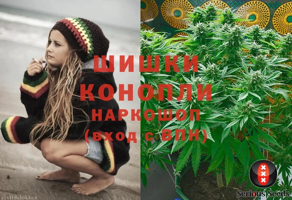 spice Михайлов