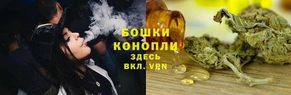 spice Михайлов
