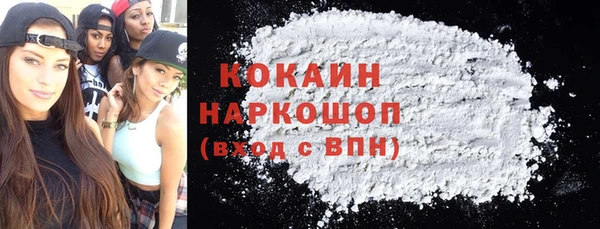 spice Михайлов