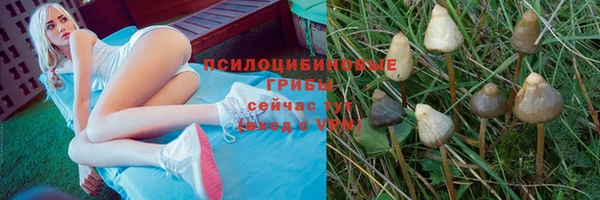 MDMA Михайловск